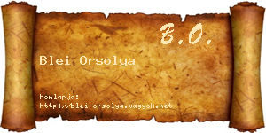 Blei Orsolya névjegykártya